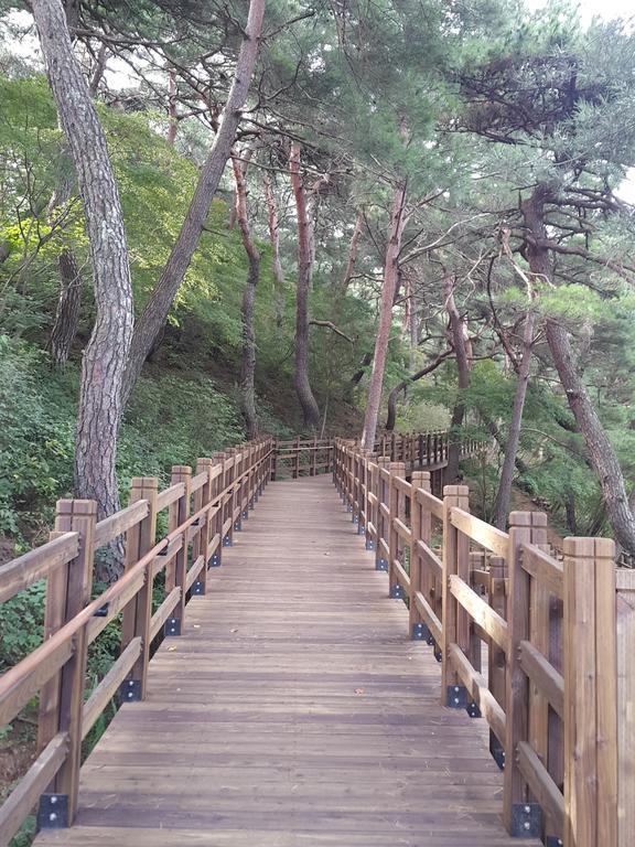 Pyeongchang River House Экстерьер фото