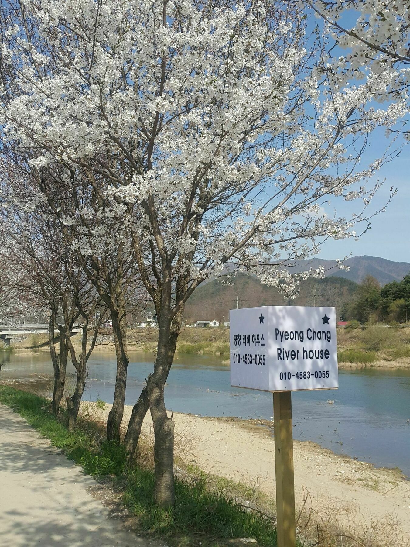 Pyeongchang River House Экстерьер фото